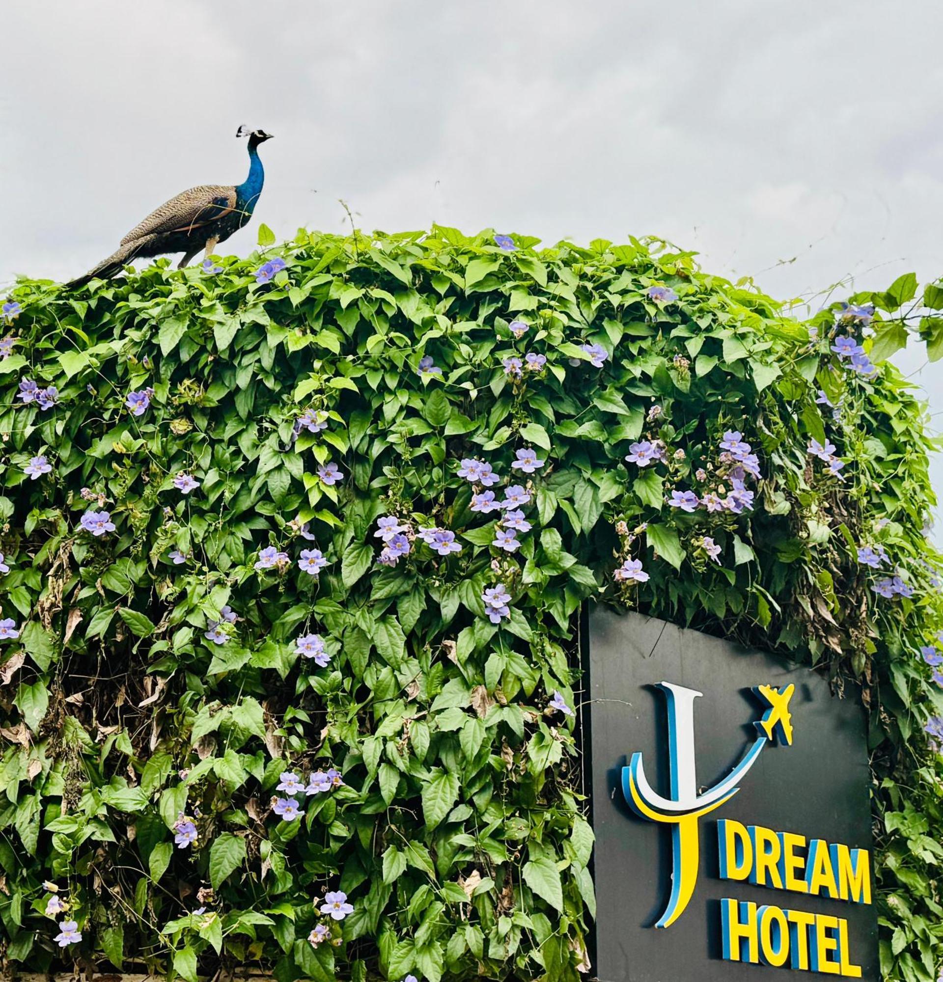 Airport J Dream Resort Dewamottawa 외부 사진